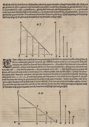 Graphisches Bild einer linearen Funktion und einer exponentiellen Funktion